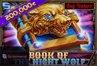 Book Of The Night Wolf