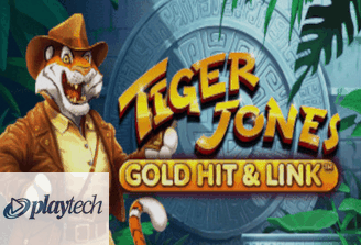 Gold Hit & Link: Tiger Jones™