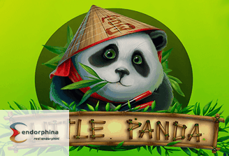 Little Panda